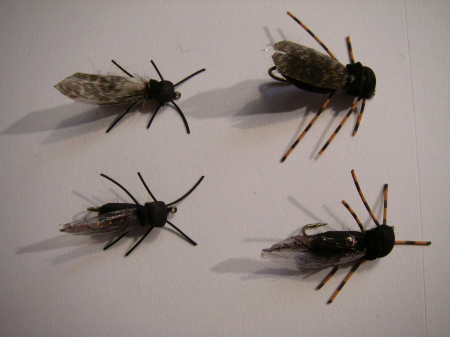 Cicada Fly Pattern - Fishing Forum